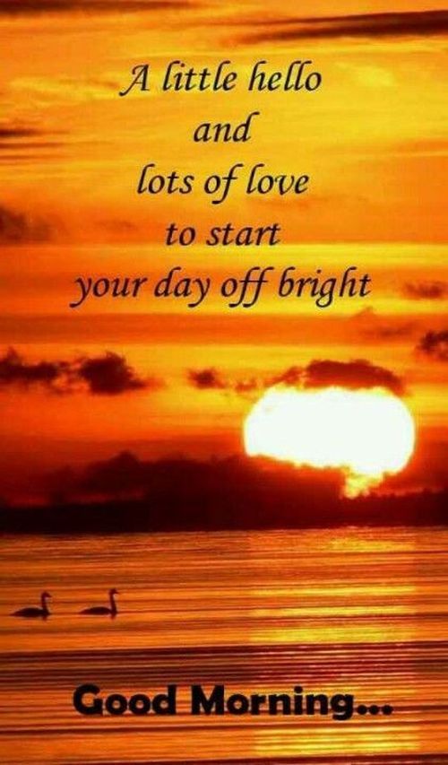 A Little Hello and lots of love to start your day off bright .. Good Morning