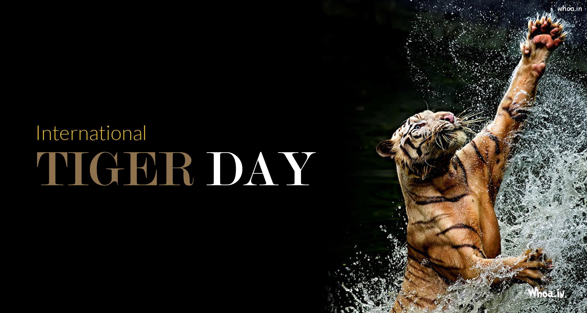 20+ Best International Tiger Day Images, Messages , Quotes