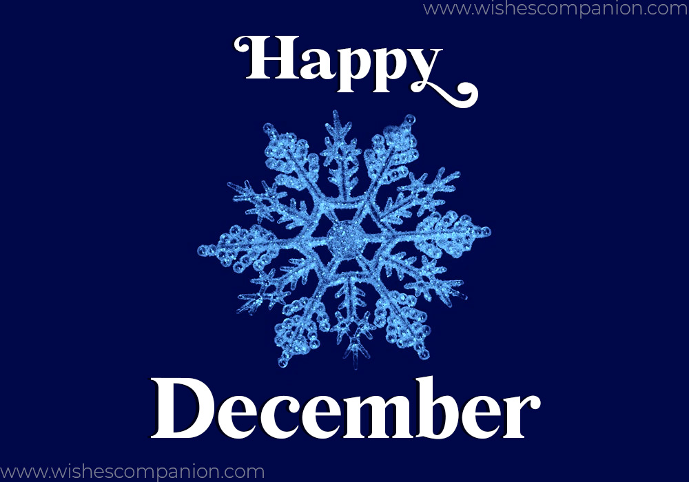 20+ Best Happy December Wishes And Messages