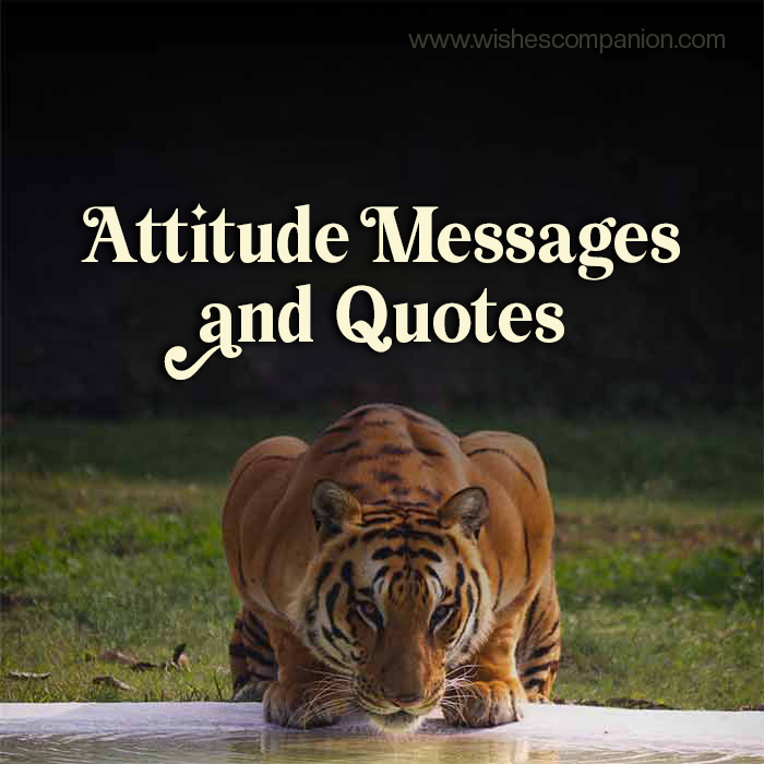 Attitude Messages and Quotes