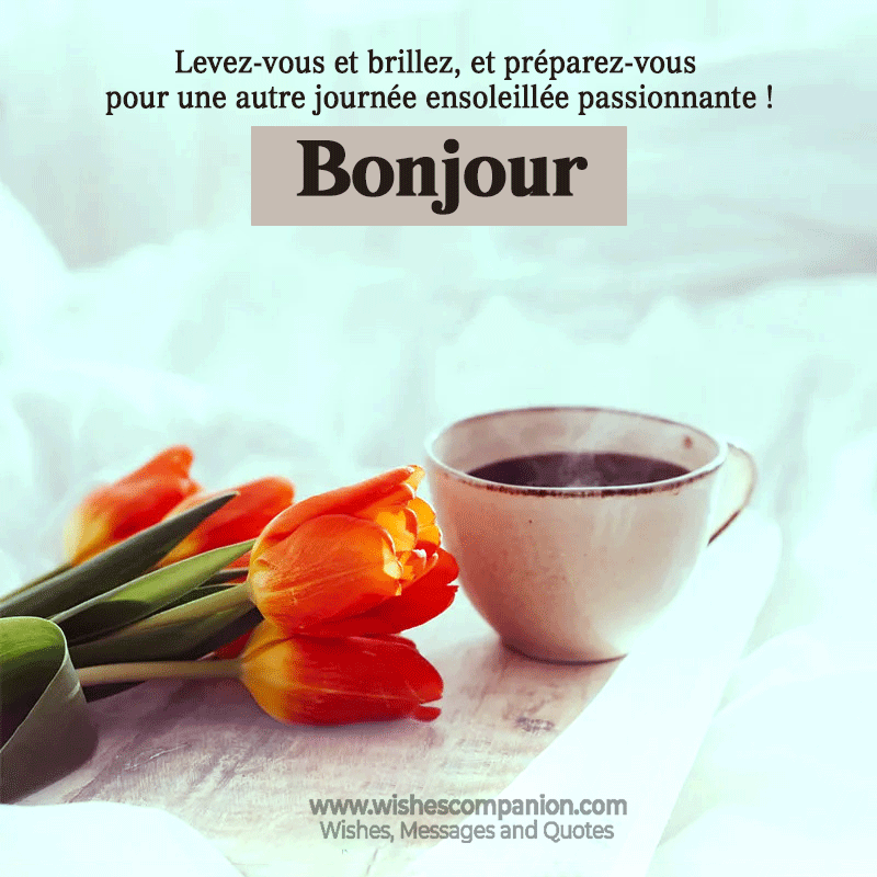 Beautiful-Good-Morning-Message-images-in-french