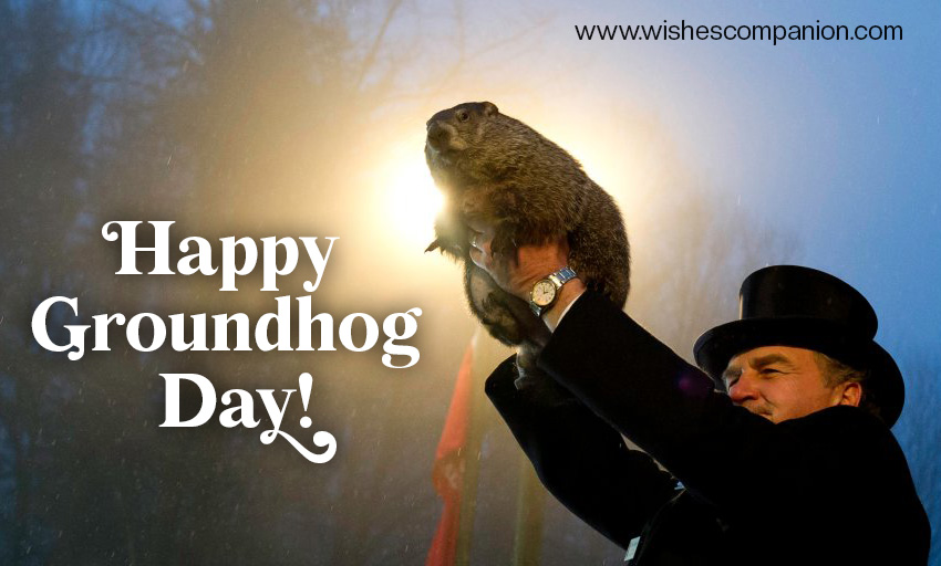 Groundhog-Day-wishes-and-quotes