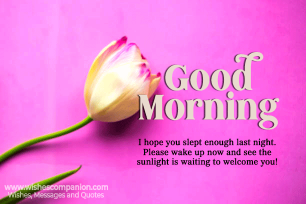 Romantic Good Morning Messages, Wishes, and Images