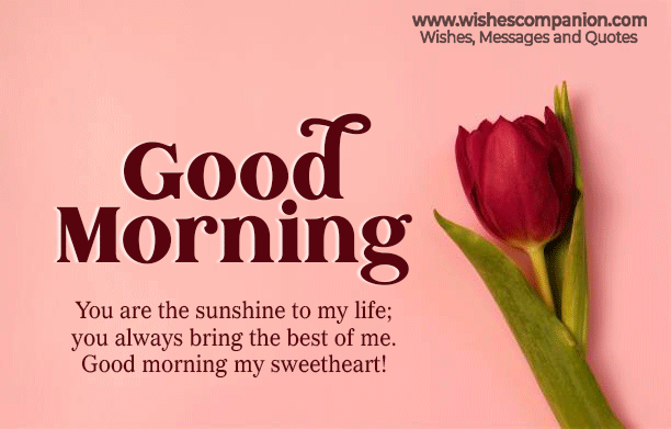 Romantic Good Morning Messages, Wishes, and Images