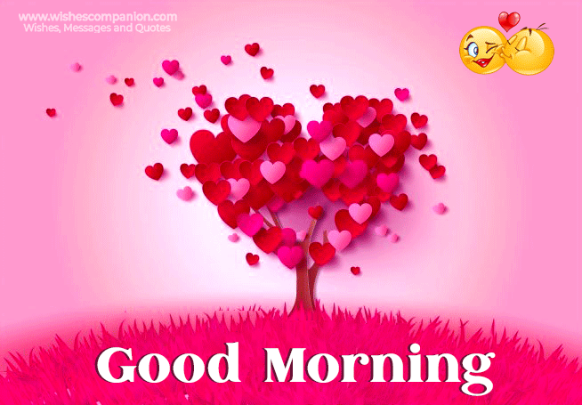 Romantic Good Morning Messages, Wishes, and Images