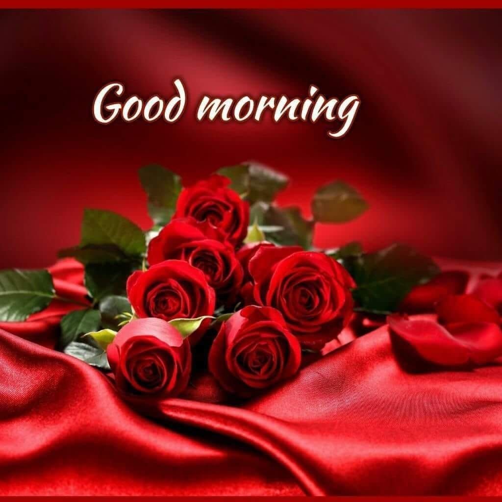 Good Morning Wishes Image with Roses