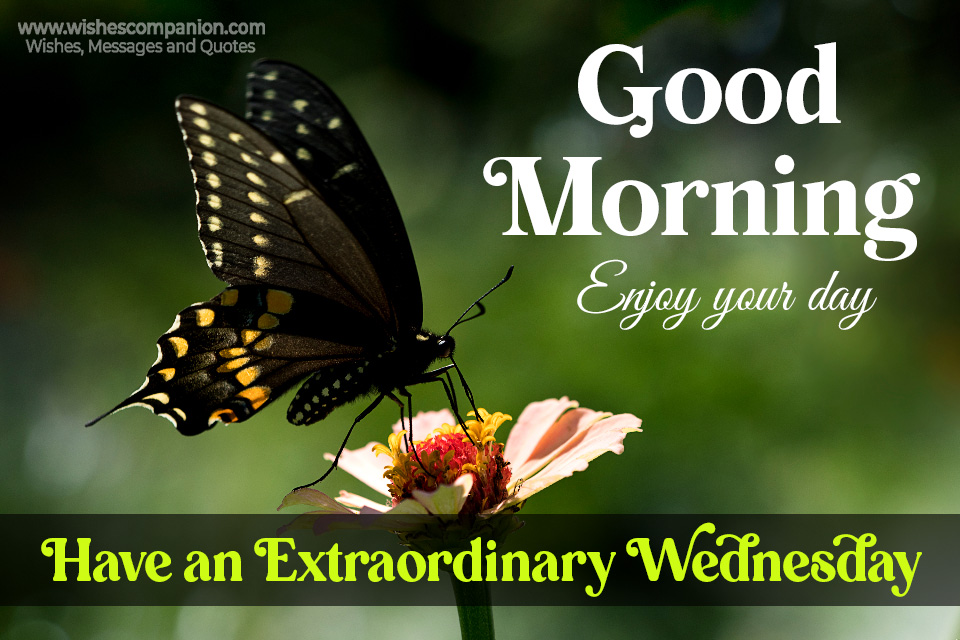 Happy-Wednesday-images