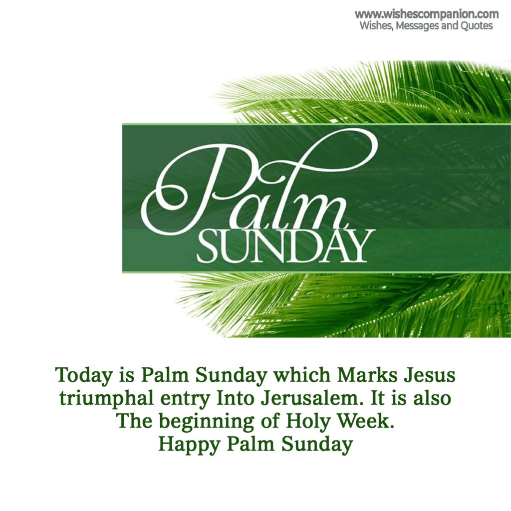 Palm Sunday Wishes and Messages, Greetings Wishes Companion