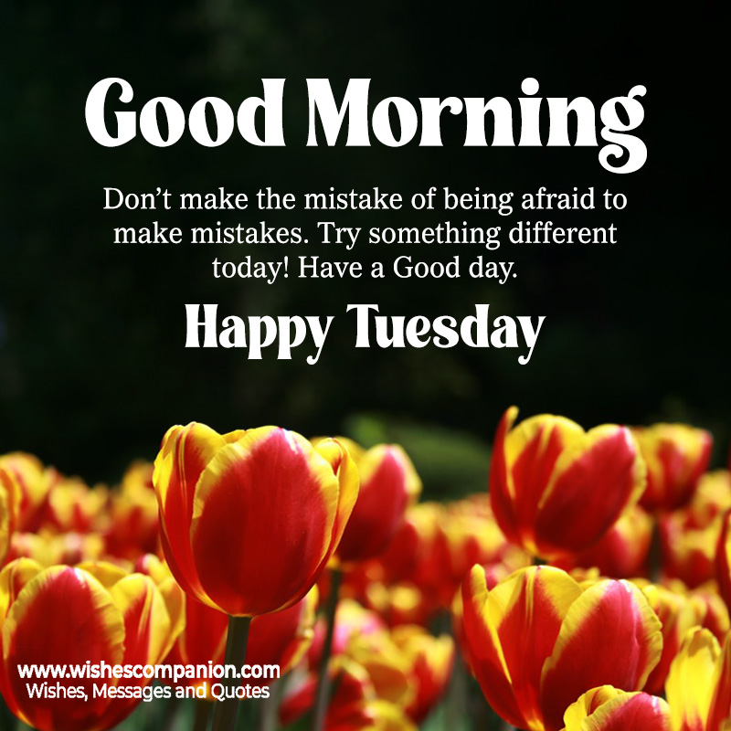 Good morning Tuesday Blessings