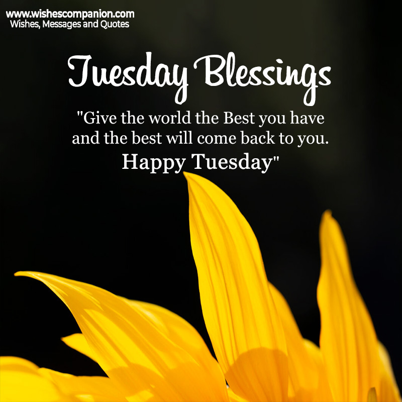 Good Morning Tuesday Blessings images