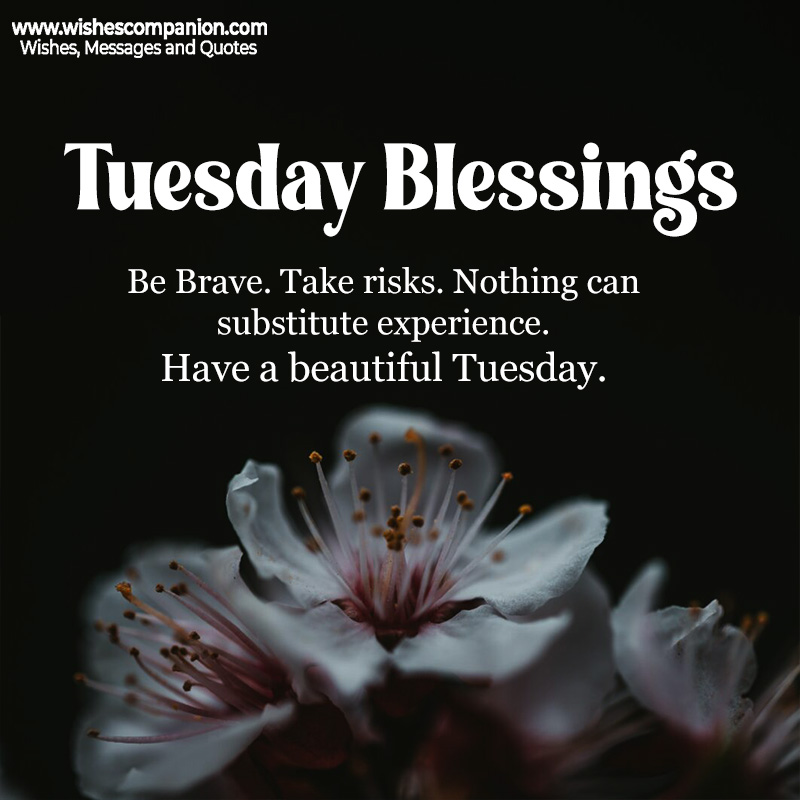 Good Morning Tuesday Quotes, Messages and Images