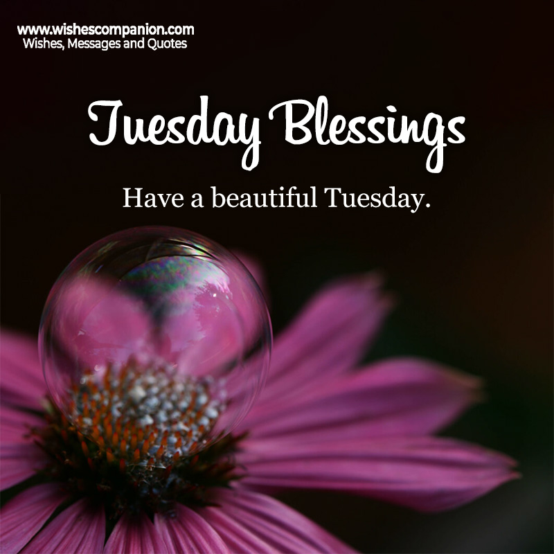 Good-Morning-Tuesday-Blessings
