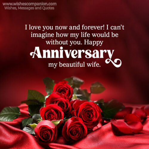 50+ Wedding Anniversary Wishes and Messages for Wife