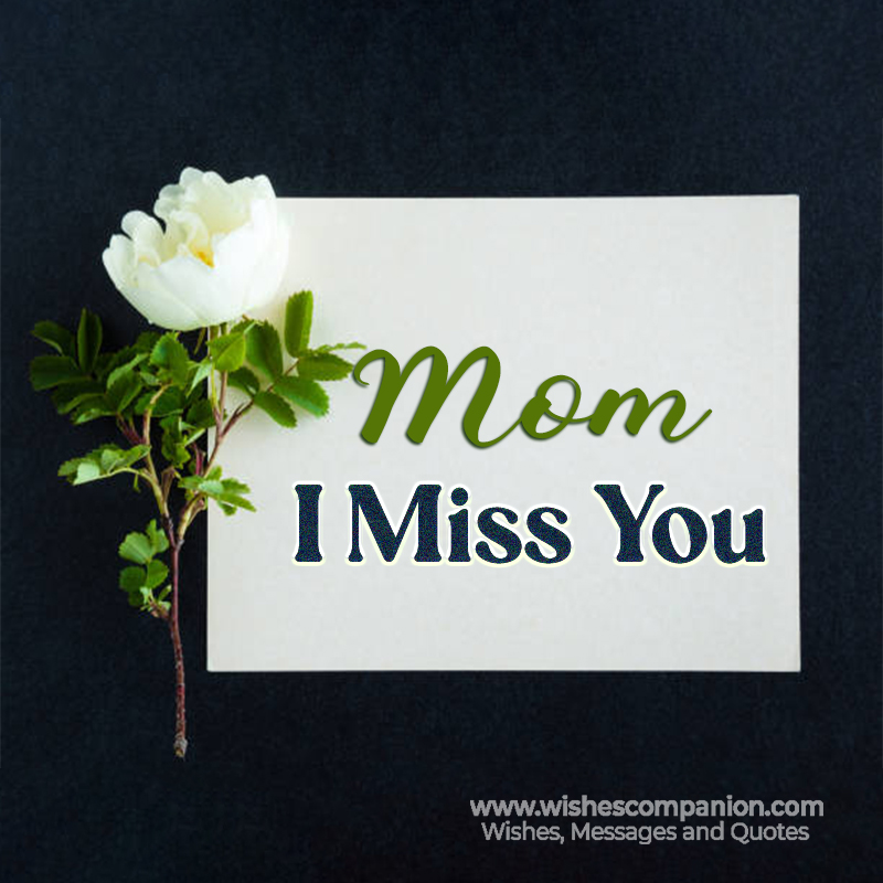 50+ Heart Touching I Miss You Mom Status and Images