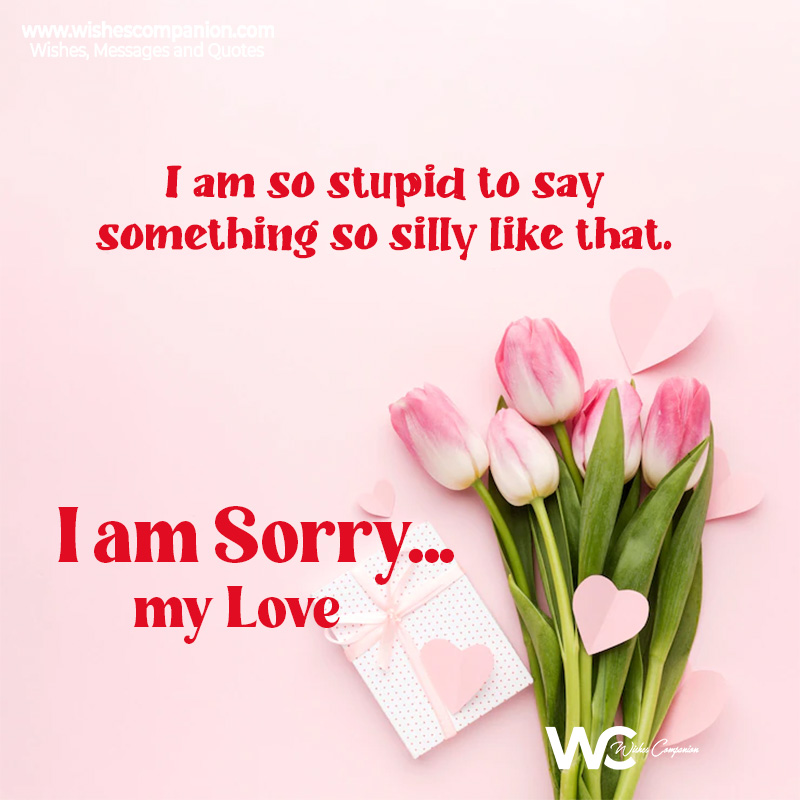 I am sorry Messages for Boyfriend