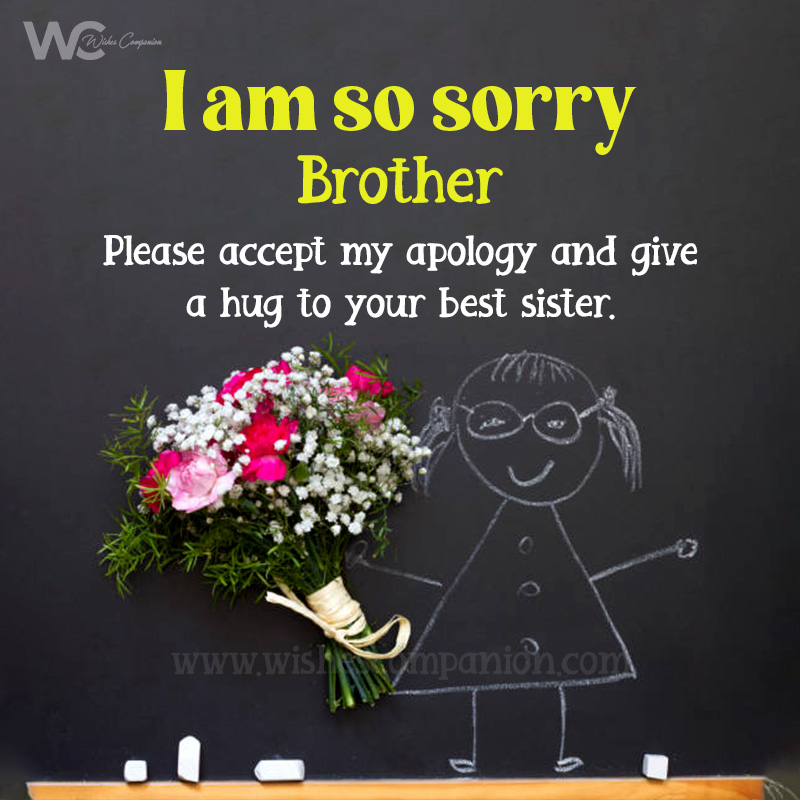 Sorry Messages for Brother – Apology Message to My Brother