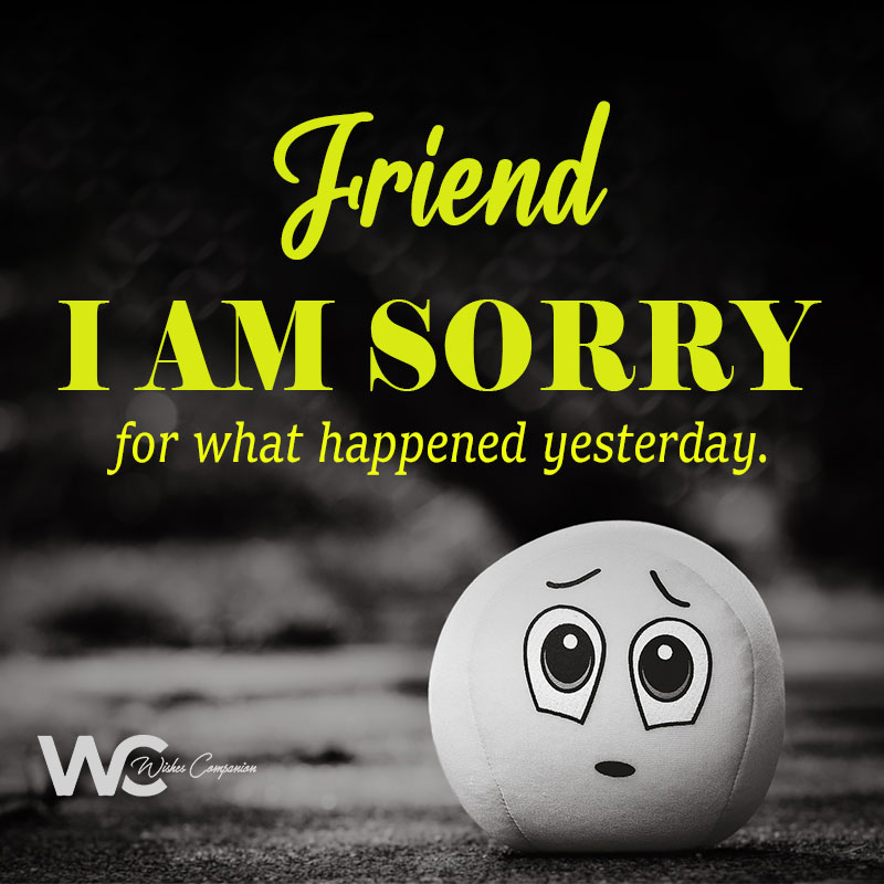 Sorry Friend