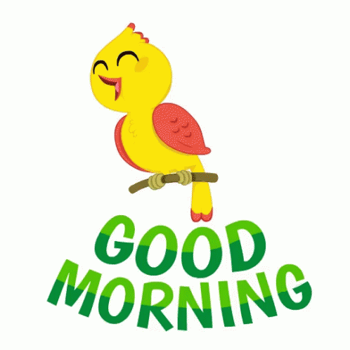 Good Morning Bird Gif