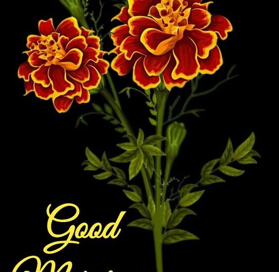 Marigold Flower Bunch for Morning Greetings