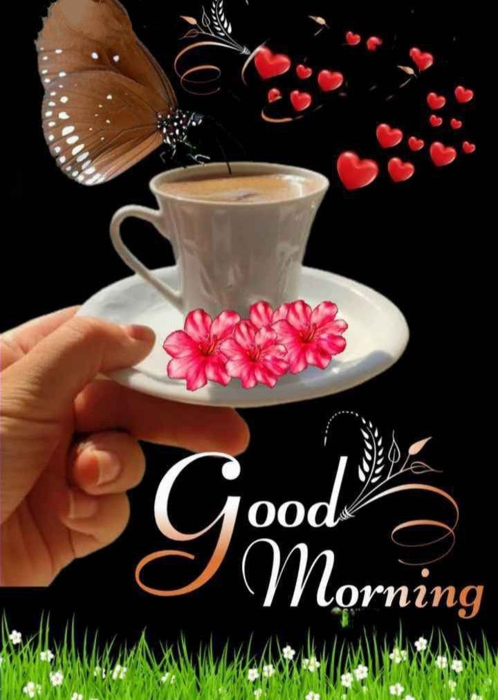 beautiful good morning coffee