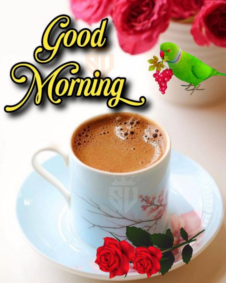 new good morning coffee images